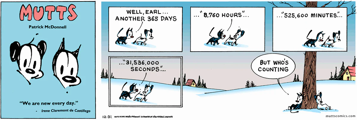 December 31 2006, Sunday Comic Strip