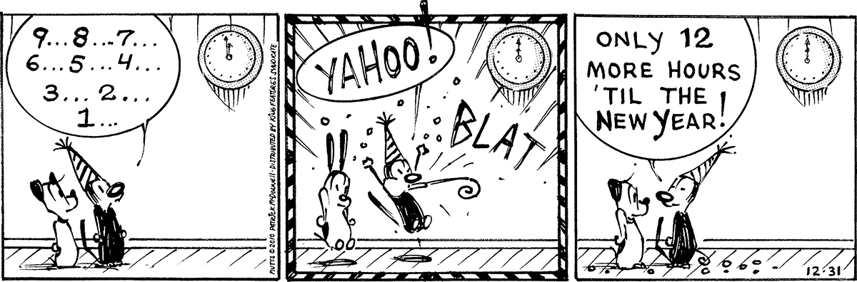 December 31 2010, Daily Comic Strip