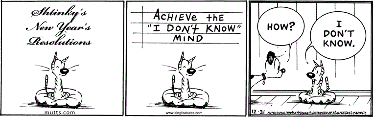 December 31 2016, Daily Comic Strip