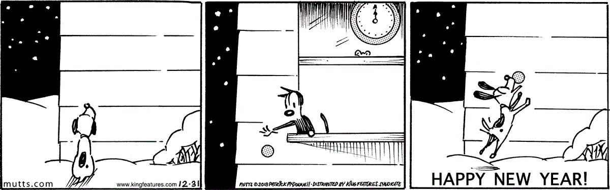 December 31 2018, Daily Comic Strip