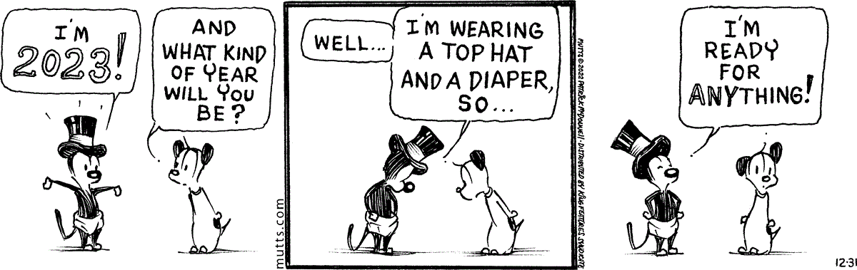 December 31 2022, Daily Comic Strip