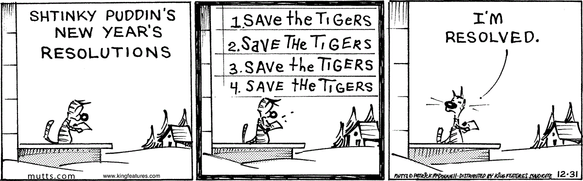 December 31 2025, Daily Comic Strip