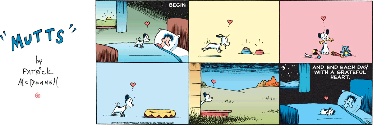 November 27 2022, Sunday Comic Strip