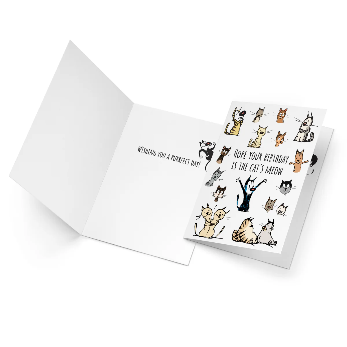 'The Cat's Meow' Birthday Card - Image 3